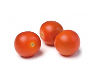 עגבניות שרי